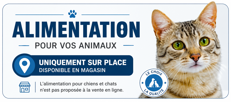 Chatons